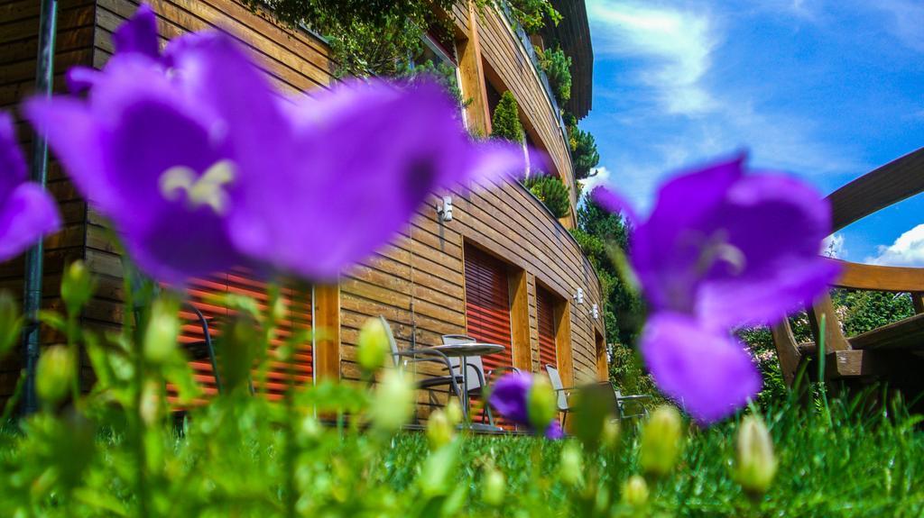 Hotel Sonnenheim Бад-Кляйнкірхгайм Екстер'єр фото
